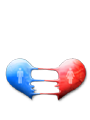 �̺� ����